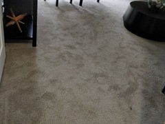 Carpet