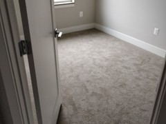 Carpet