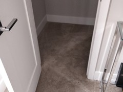 Carpet