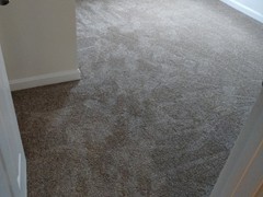 Carpet