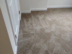 Carpet