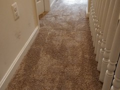 Carpet